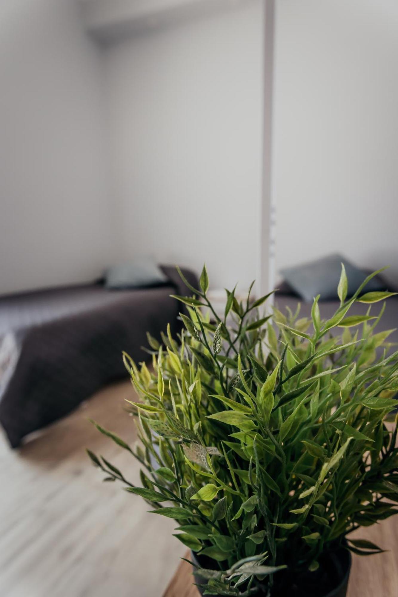 Fcoairporthouse Apartman Fiumicino Kültér fotó